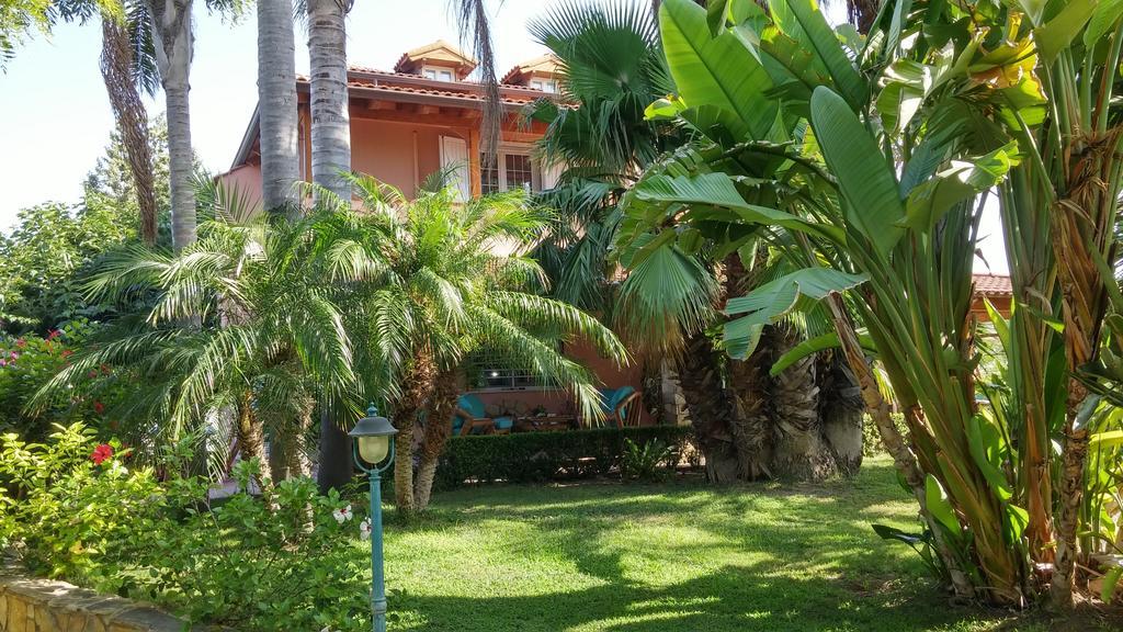 Il Giardino Delle Jacaranda Panzió Talsano Kültér fotó
