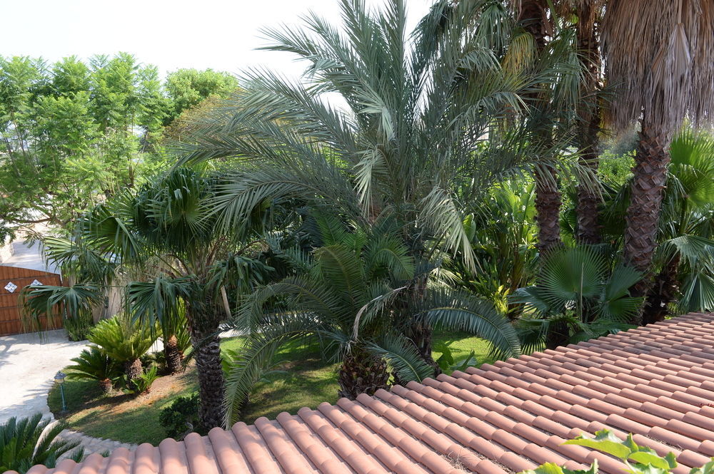 Il Giardino Delle Jacaranda Panzió Talsano Kültér fotó